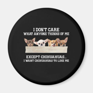 Chihuahua het kan me niet schelen wat iemand van m magneet