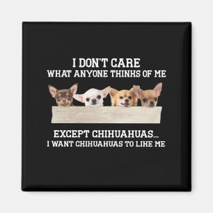 Chihuahua het kan me niet schelen wat iemand van m magneet