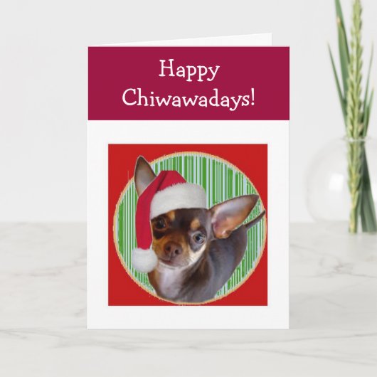 Chihuahua Holiday Kaart (Voorkant)