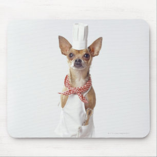 Chihuahua-hond met chef-kok-witten, studioshot muismat