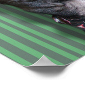 Chihuahua Hond Tong Poster (Hoek)