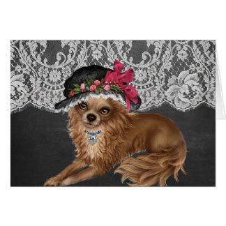 Chihuahua-honden met hoeden