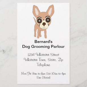 Chihuahua Honden Verzorgings Salon Flyer