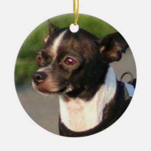 Chihuahua-hondenversiering Keramisch Ornament