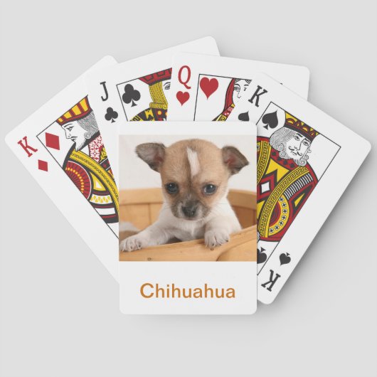Chihuahua-hondje speelkaarten (Achterkant)