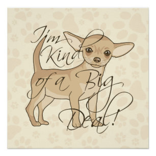 Chihuahua Ik ben een soort Big Deal Perfect Poster