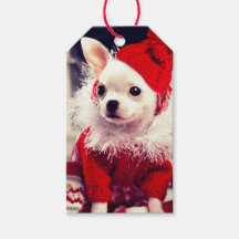 CHIHUAHUA IN EEN Label MET Sinterklaas