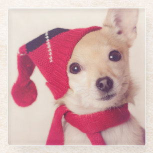 Chihuahua in het Pet van de winter Glazen Onderzetter
