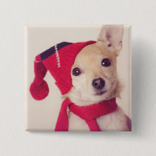 Chihuahua in het Pet van de winter Vierkante Button 5,1 Cm