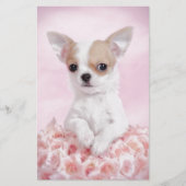 Chihuahua in roze met rozen briefpapier (Voorkant)