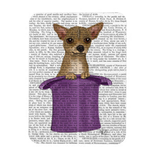 Chihuahua in Top Hat Magneet