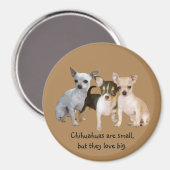 Chihuahua Joyeux Magnet Trio (Recto/Verso)