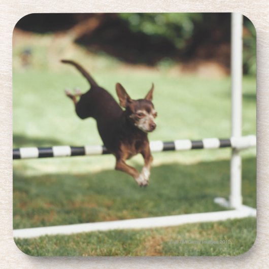 Chihuahua Jumping Hurdle Drankjes Onderzetter (Voorkant)