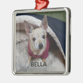 CHIHUAHUA KEEPSAKE METALEN ORNAMENT (Links)