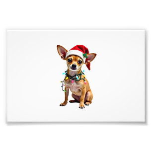 Chihuahua Kerstman Verschrikkelijke Trui Hond Lief Foto Afdruk