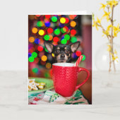 Chihuahua Kerstmis Kaart (Gele Bloem)