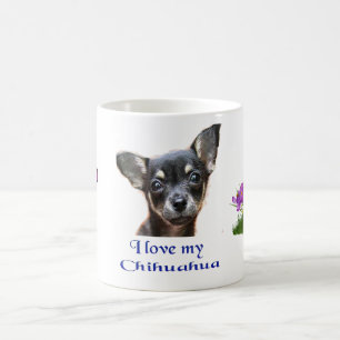 chihuahua koffiemok