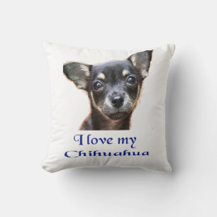 Chihuahua Kussen