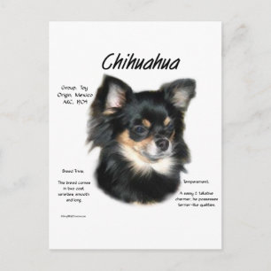Chihuahua (lang) Geschiedenis Ontwerp Briefkaart