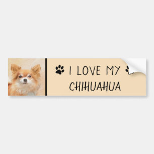 Chihuahua Langharige Hond Schilderij Originele Kun Bumpersticker