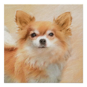 Chihuahua langharige hond schilderij originele kun perfect poster