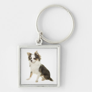 Chihuahua Langharige Puppieshond Sleutelhanger
