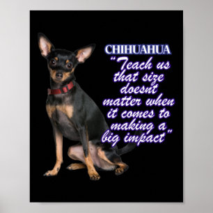 Chihuahua leert ons dat de grootte van een hond al poster