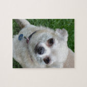 Chihuahua Legpuzzel (Horizontaal)