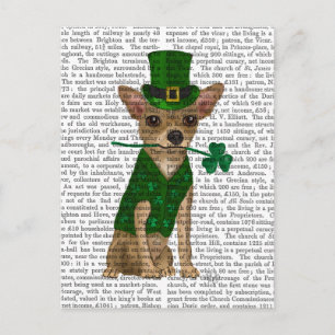 Chihuahua Leprechaun Briefkaart