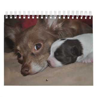 Chihuahua Love Calendar Kalender