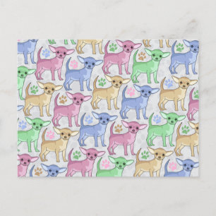 Chihuahua Lover Colorful Pattern Briefkaart