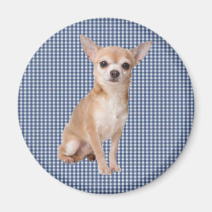 Chihuahua Magneet