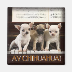 Chihuahua Magneet