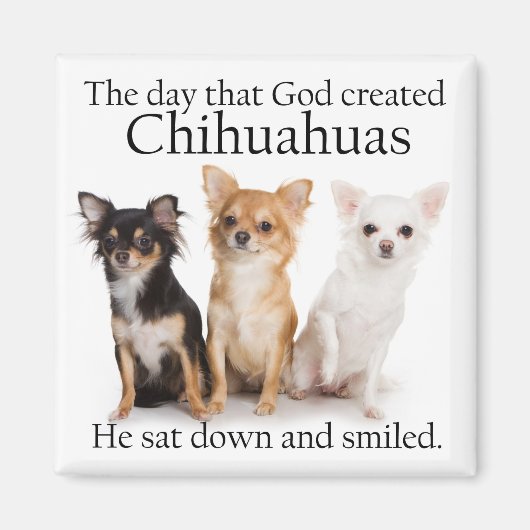 Chihuahua Magnet (Devant)