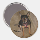 Chihuahua Magnet (Recto/Verso)