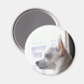 Chihuahua Magnet (Recto/Verso)