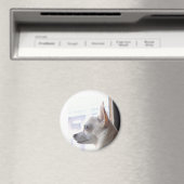 Chihuahua Magnet (In Situ (Lave-vaisselle))