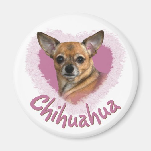 Chihuahua Magnet (Devant)