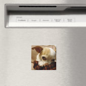 Chihuahua Magnet Magneet (Insitu (Vaatwasser))