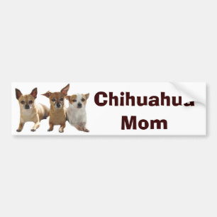 Chihuahua Mam Bumpersticker