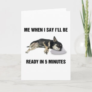 Chihuahua me als ik zeg dat ik over 5 minuten klaa kaart