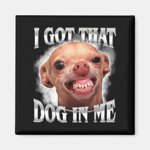 Chihuahua Meme Heeft die hond in humor grappige ho Magneet