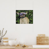 Chihuahua met bril poster (Keuken)