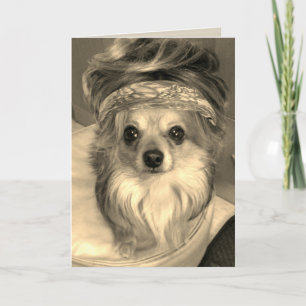 Chihuahua met een pruik in sepia Birthday Card Kaart