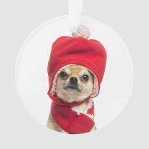Chihuahua met kerstcadeau en Pet Ornament