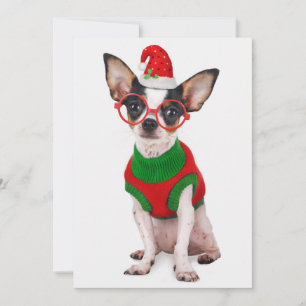 Chihuahua met kerstmuts en een bril feestdagenkaart