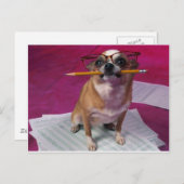 Chihuahua met potlood briefkaart (Voorkant / Achterkant)