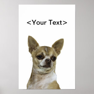 Chihuahua met standvastigheid poster