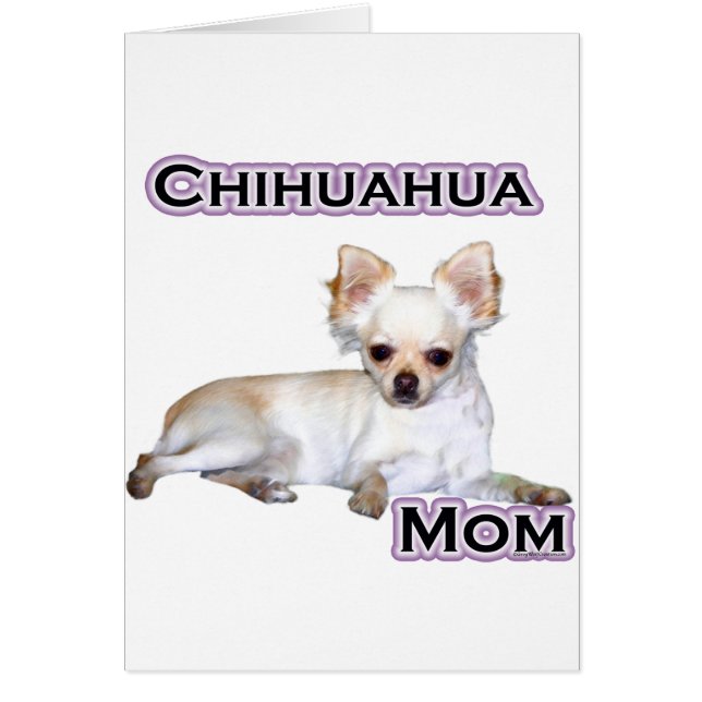 Chihuahua Moeder 4 (Voorkant)