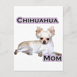 Chihuahua Moeder 4 Briefkaart
